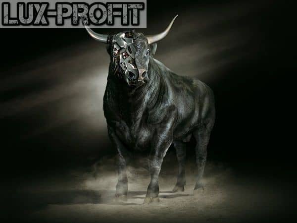 bulls-power
